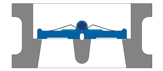 對夾雙(shuāng)瓣式止回閥結構圖