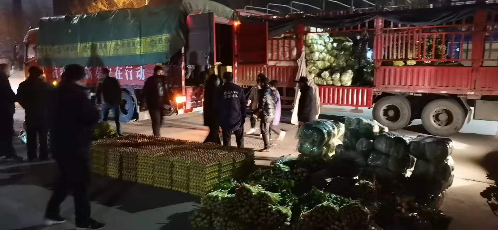 感謝黨(dǎng)和政(zhèng)府對(duì)我**送來新鮮蔬菜，願(yuàn)，國無恙，山河永(yǒng)固，加(jiā)油，西(xī)安！